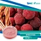 Myricetrin is a flavonoid that has multiple health benefits, including antioxidant and anti-inflammatory properties.